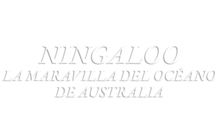 Ningaloo. La maravilla del océano de Australia