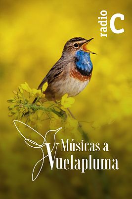 Músicas a vuelapluma