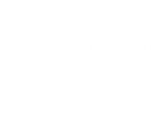 Piragüismo JJOO París 2024