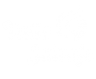 Valle salvaje