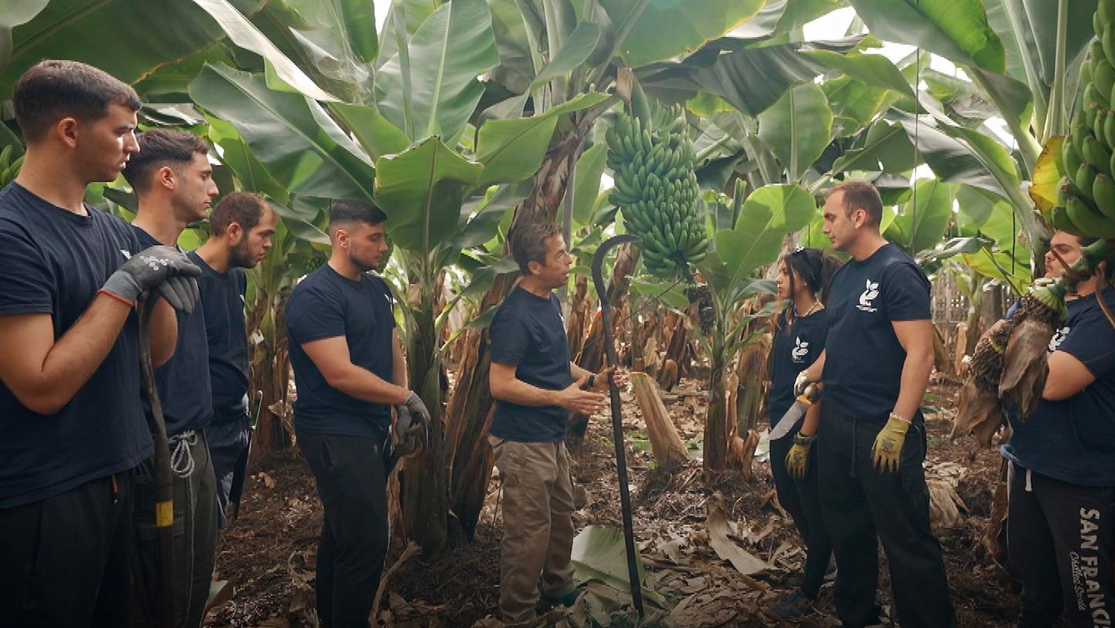 Yo soy de formación profesional - País Vasco/Navarra - Yo soy de Formación Profesional | Ver