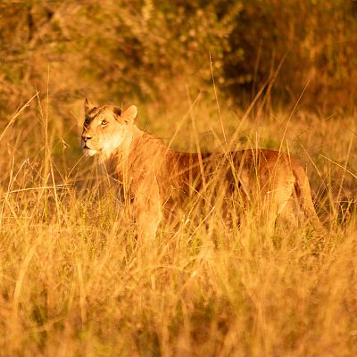 Persiguiendo la lluvia