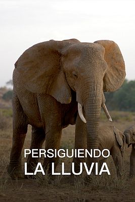 Persiguiendo la lluvia