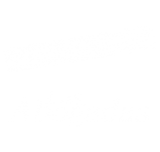 Las abogadas. La verdadera historia