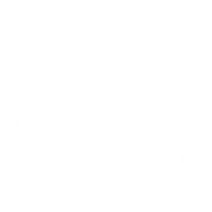 Sobre el terreno (1974-1981)