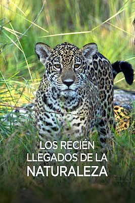 Los recién llegados de la naturaleza