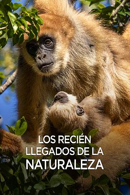 Los recién llegados de la naturaleza