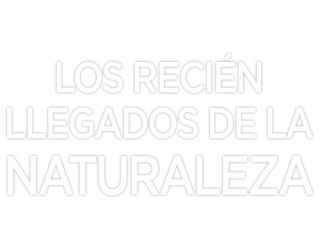 Los recién llegados de la naturaleza