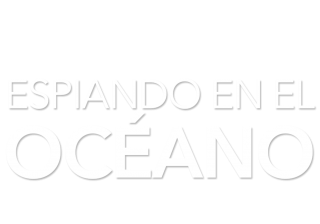 Espiando en el océano