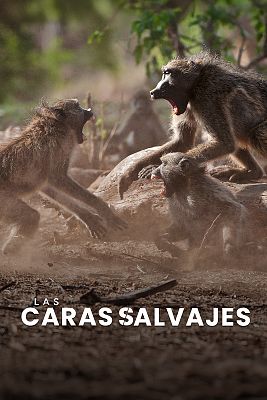 Las caras salvajes