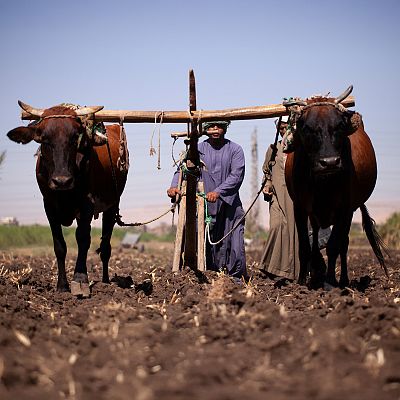 Antiguas civilizaciones