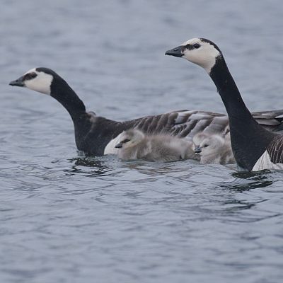 Turisme Rural al Món