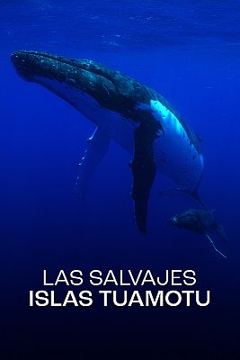 Las salvajes islas Tuamotu