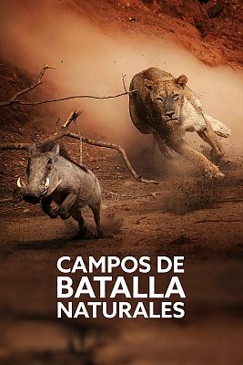 Campos de batalla naturales