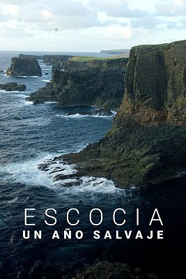 Escocia. Un año salvaje