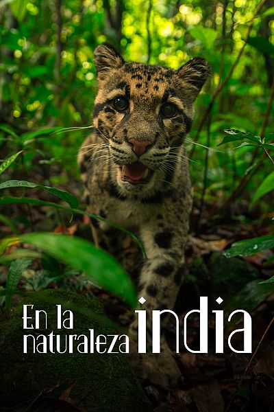 En la naturaleza india