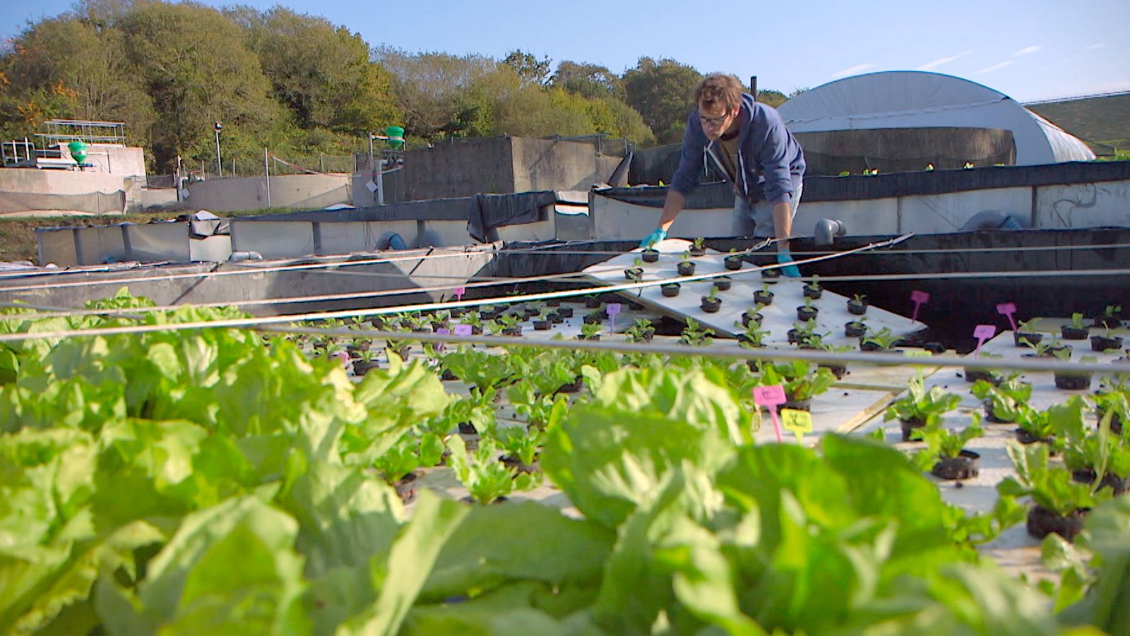 Forjadores del mañana - T2 - Episodio 7: Agricultura sostenible - ver ahora