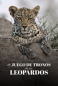 El juego de tronos de los leopardos