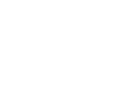 Tiburones de cerca