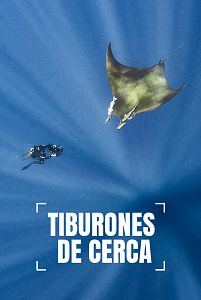 Tiburones de cerca