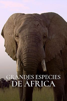 Grandes especies de África