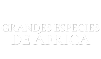 Grandes especies de África