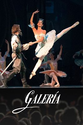 Galería