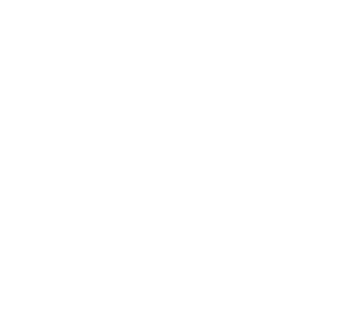 Estress