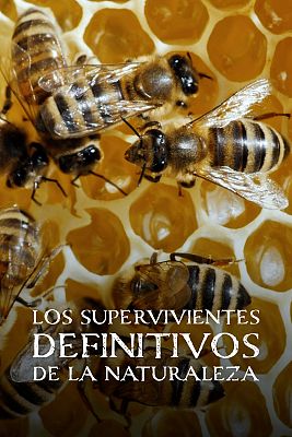 Los supervivientes definitivos de la naturaleza