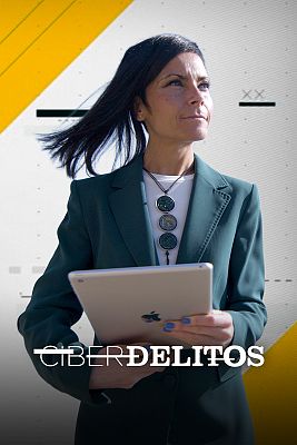 Ciberdelitos