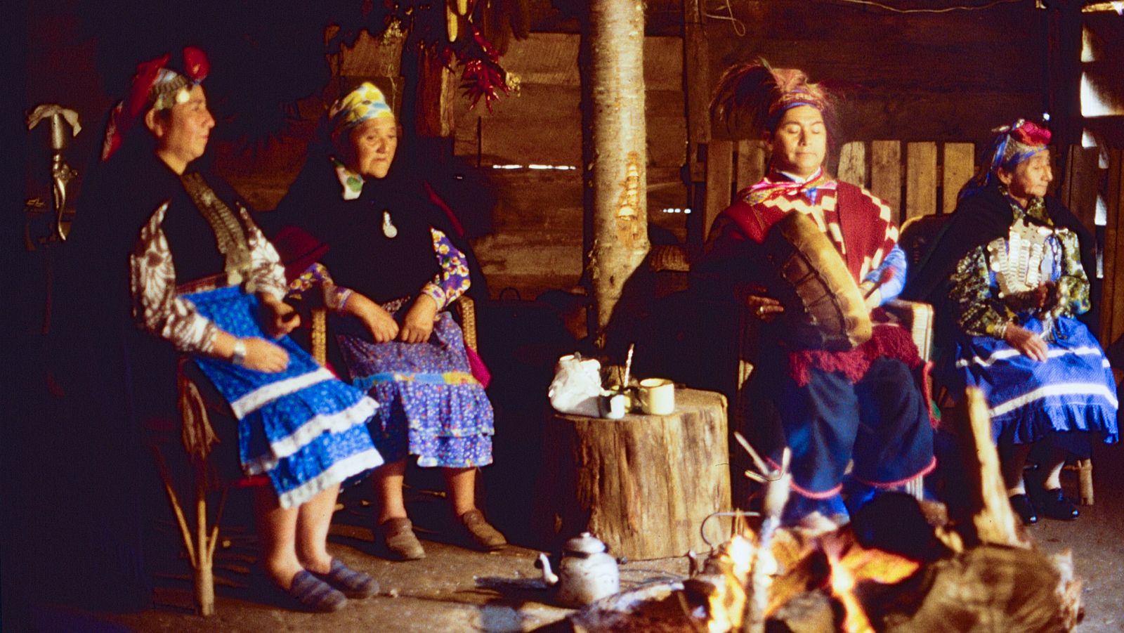 Los frutos de El Dorado - El oro - Los frutos de El Dorado | Ver