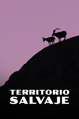 Territorio salvaje