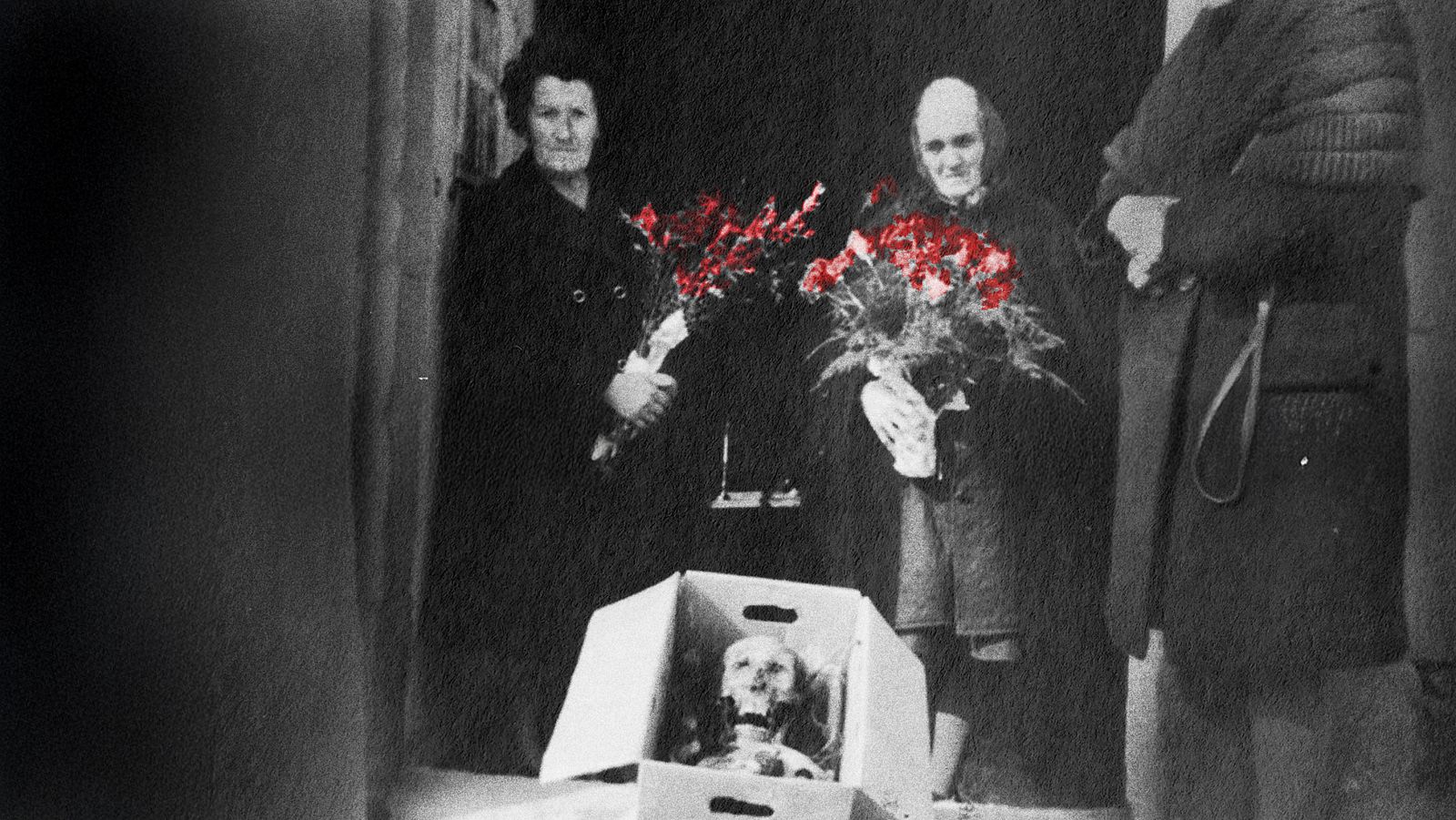 A flor de tierra - Documental sobre fosas del franquismo | Ver - A flor de tierra | Ver