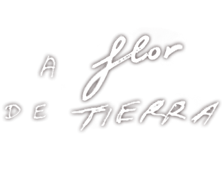 A flor de tierra