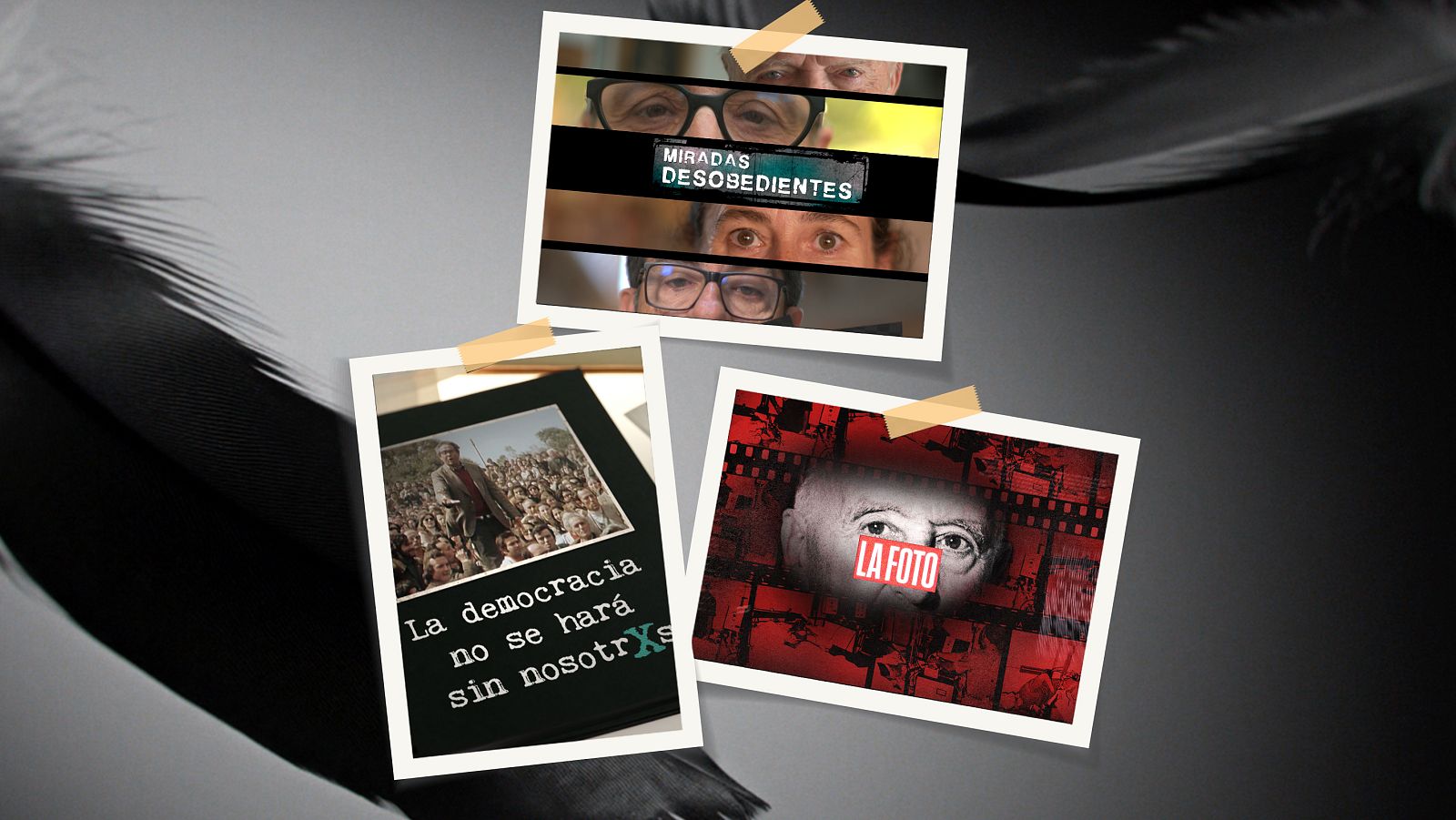 50 años del gran cambio - Miradas desobedientes - 50 años del gran cambio | Ver documental