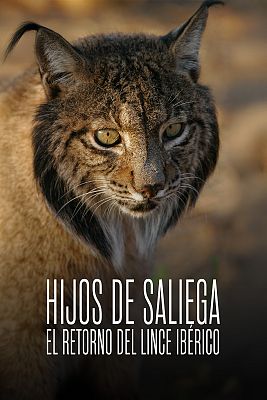 Hijos de Saliega. El retorno del lince ibérico