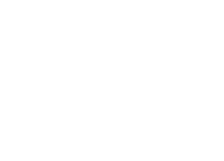 Hijos de Saliega. El retorno del lince ibérico