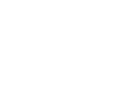 Hijos de Saliega. El retorno del lince ibérico