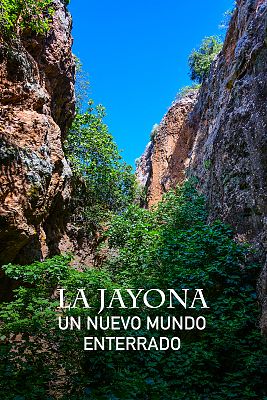 La Jayona. Un nuevo mundo enterrado