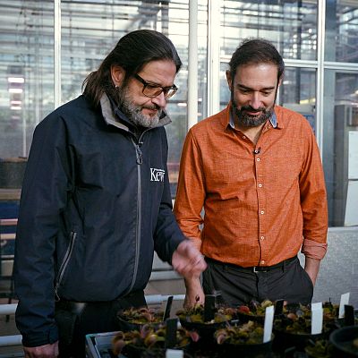 El cazador de cerebros