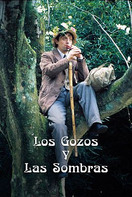 Los gozos y las sombras