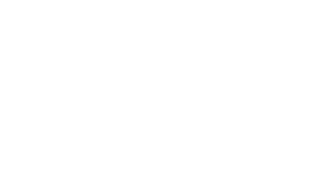 Felinos noche y día