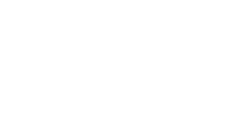 Felinos noche y día