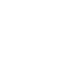 Las aves del frío