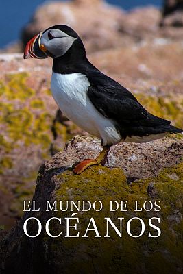 El mundo de los océanos