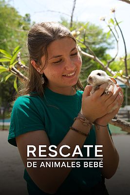 Rescate de animales bebé
