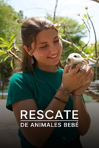 Rescate de animales bebé
