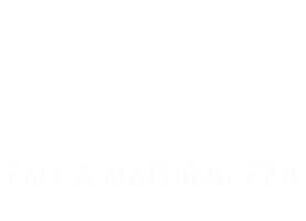 Belleza y seducción en la naturaleza