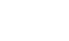 Los invasores