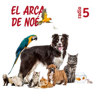 El arca de Noé